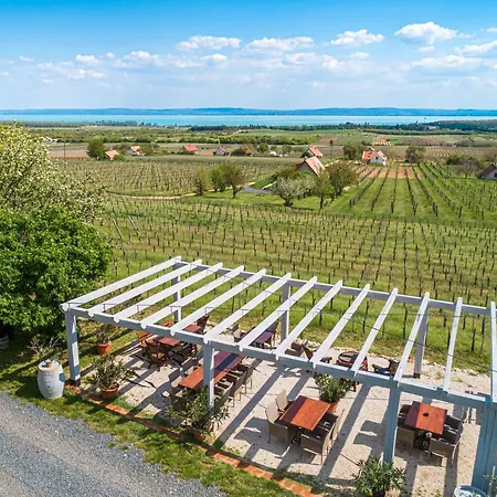 Birtok Mandula Apartmanhaz アパート Tagyon