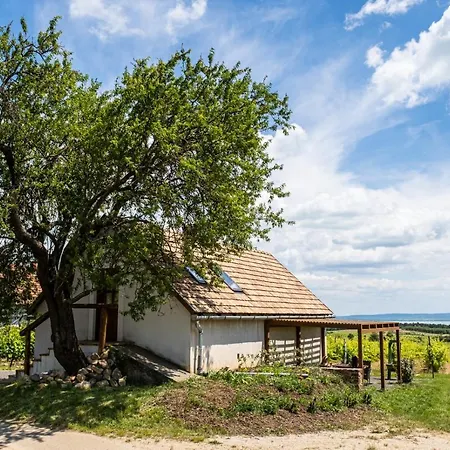 アパート Birtok Mandula Apartmanhaz Tagyon