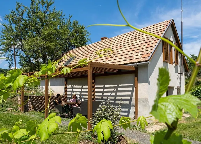 Апартаменты Birtok Mandula Apartmanhaz Tagyon