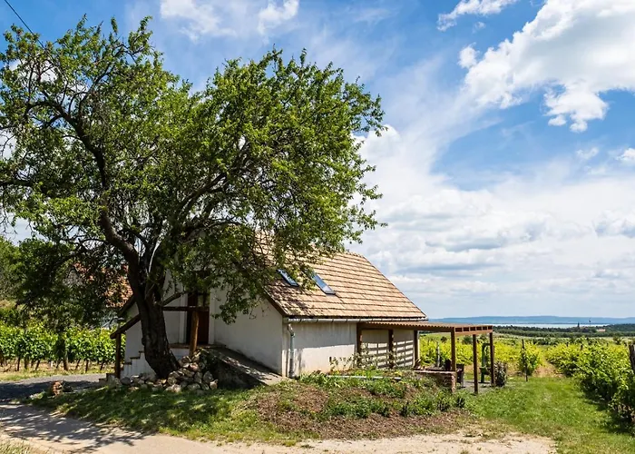 Апартаменты Birtok Mandula Apartmanhaz Tagyon